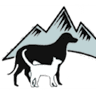 Sisters Veterinary Clinic