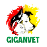 GIGANVET médico veterinario