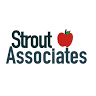 STROUT ASSOCIATES LLC