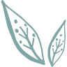 Sol Physiotherapy, Llc