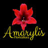 Amarilys Floricultura