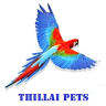 Thillai Pets & Clinic