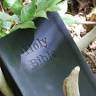 Sixth Day Outdoor Ministry