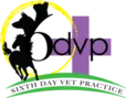 Sixth Day Veterinary Practice