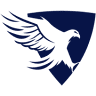 Slovak Training Academy