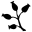 Slezské bylinářství