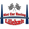 Slot Car Racing Lillebælt