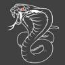 Snake Athletic - CrossFit | Weightlifting | Functional Exercise