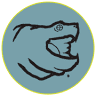 Snapping Turtle Leather