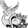 Soaring Eagle Farm LLC