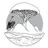 Socotra Pioneer Tours- Socotra Tour Packages & Trips