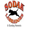 SoDak Labradors & Gundog Kennels LLC