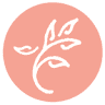 Soirée Wedding Planning