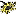 Gärtnerei Sollmann GmbH
