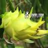 Kiwari Farm.id