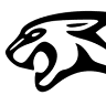 Jaguar Soluzione