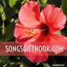 Song's Gift Nook