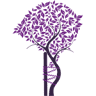 SOTI - Serviço de Ortopedia e Traumatologia Integrados