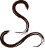 Soul Sanctuary Yoga Studio