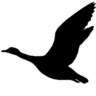 South Central Snows Outfitters