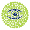 Southside Eyewear Optometrist