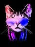 Southwestern Internet Radio Network (The Cool Cat - Music Radio!)