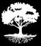 South Wind Farm, LLC