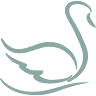 Health Spa Body and Soul Inc.