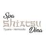 Spa Shiatsu Dina