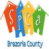 Brazoria County SPCA Low-Cost Spay Neuter Clinic