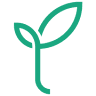 Specialitea - Indonesian Artisan Tea