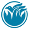 Spessimetri Phynix