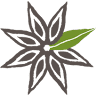 Spa Anise Day Spa