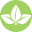 Spicy Organic LLC