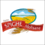 Spighe Molisane (Molise Online)