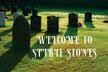 Spirit Stones Ltd