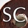 Spoon Cafe