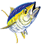 Side Bet Sport Fishing