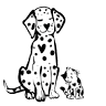 Spot On Veterinary Hospital & Hotel