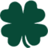 The Dublin Pub