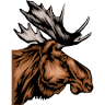 Spruce Moose Lodge Bed and Breakfast