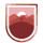 Policía Preventiva Municipal de Zacatecas