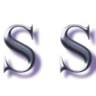 株式会社SS TRADING