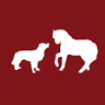 Stafford Veterinary Center