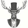 The Stag's Head Great Doddington
