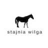 Stajnia Wilga - jazdy konne dla dzieci i dorosłych