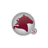Stallion Medical Inc