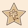 Stargazer Fine Chocolates and Coffee
