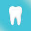 D Scott Stayner DDS