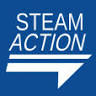 Steam Action Carpet Cleaning